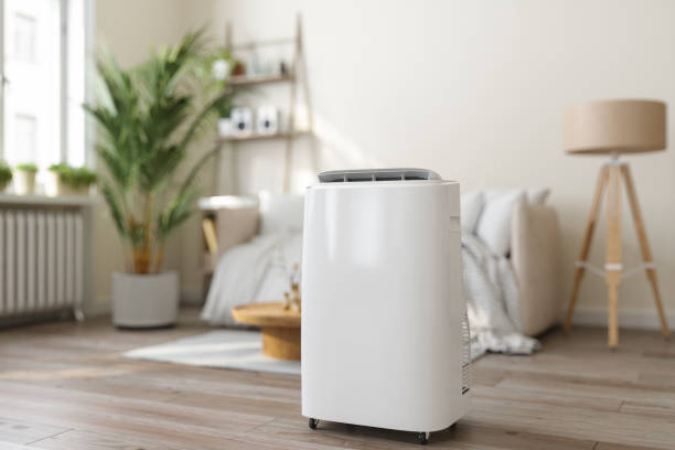 Best Ductless HVAC Repair  in Mckenzie, TN